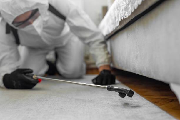 Professional Bed Bug Control technician working in Waupaca, WI